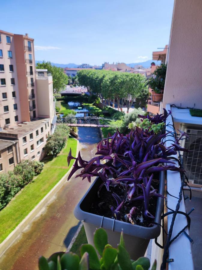 Le Balcon De La Basse Centre Ville De Περπινιάν Εξωτερικό φωτογραφία