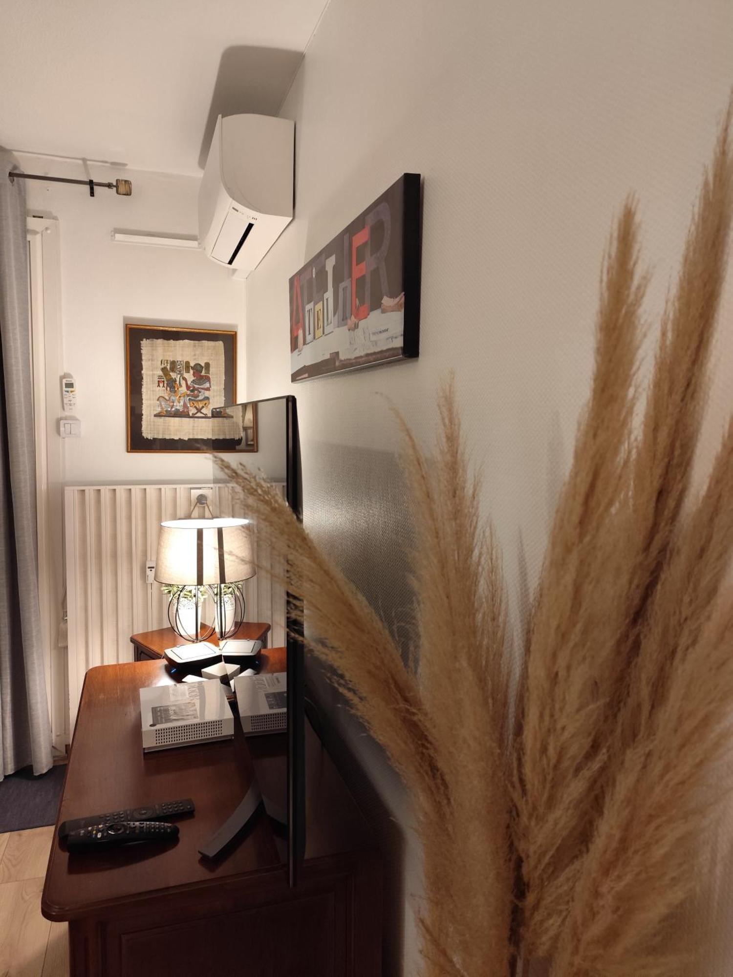 Le Balcon De La Basse Centre Ville De Περπινιάν Εξωτερικό φωτογραφία